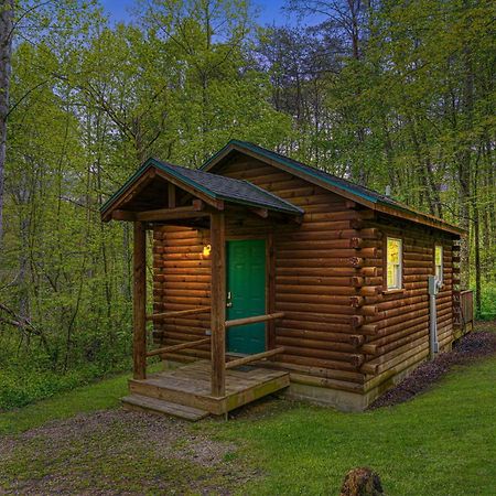Blue Rose Cabins - Cozy Cabin 洛根 外观 照片